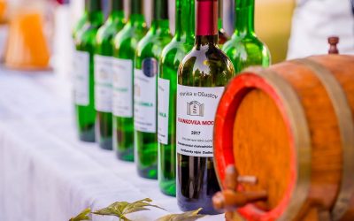 Hontianska vínna cesta